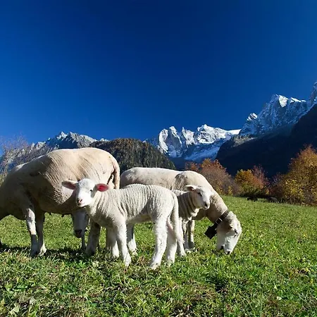 Stüa Granda * Soglio GR