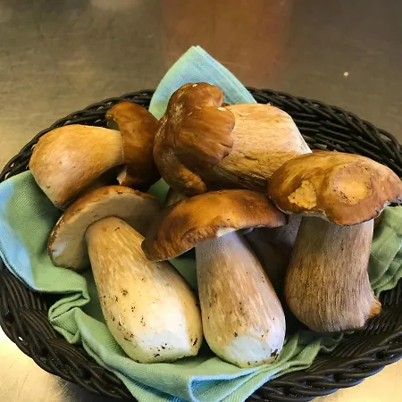 Ξενοδοχείο Stuea Granda