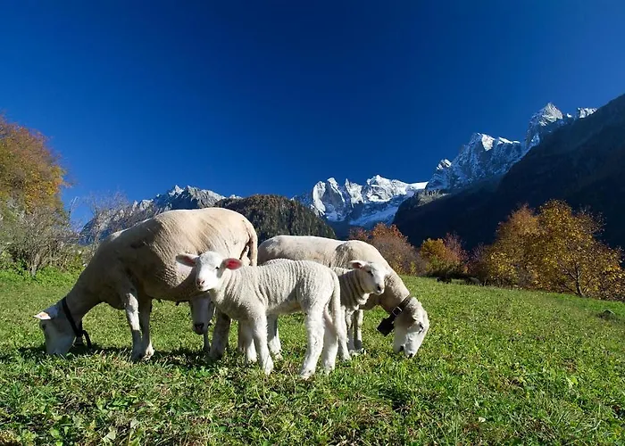 Stuea Granda * Soglio